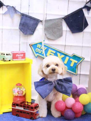 20230429ちゃいろくん